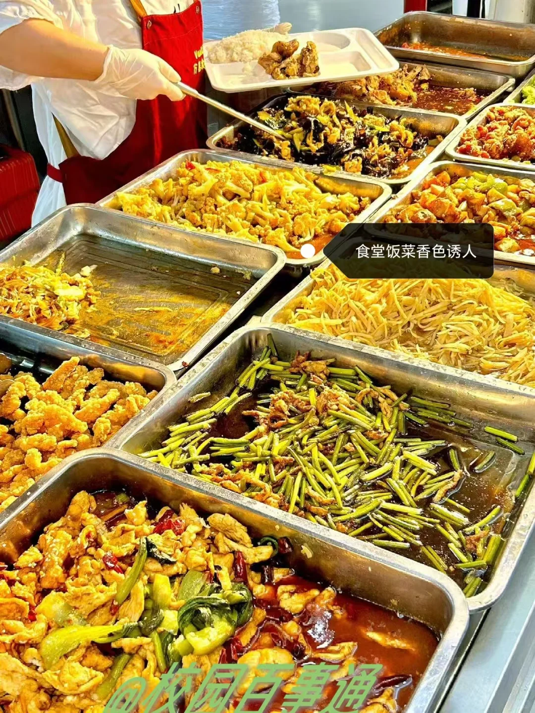 邯郸学院食堂介绍篇，25级宝宝有福了～