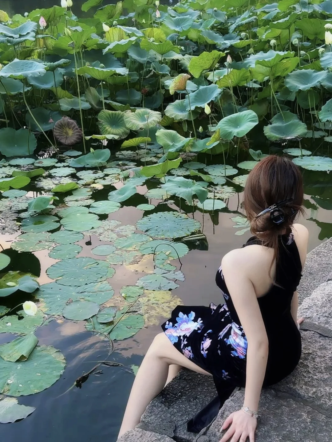 黑底旗袍和荷花池太搭配了！