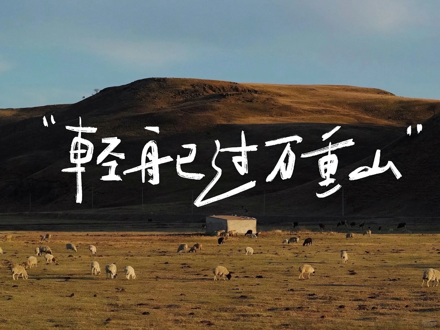 ipad壁纸｜轻舟已过万重山