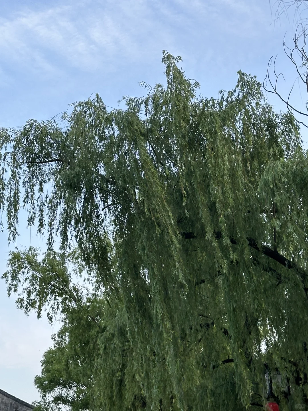 瓯北购房