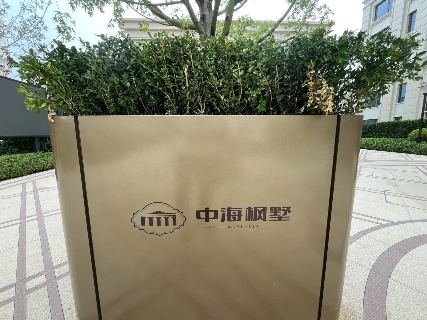 中海枫墅交房