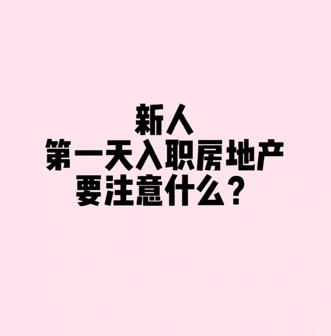 新人勇闯房地产