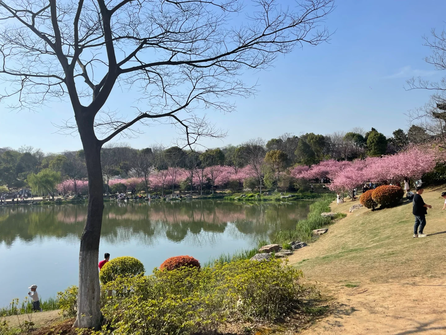 镇江定居镇江买房