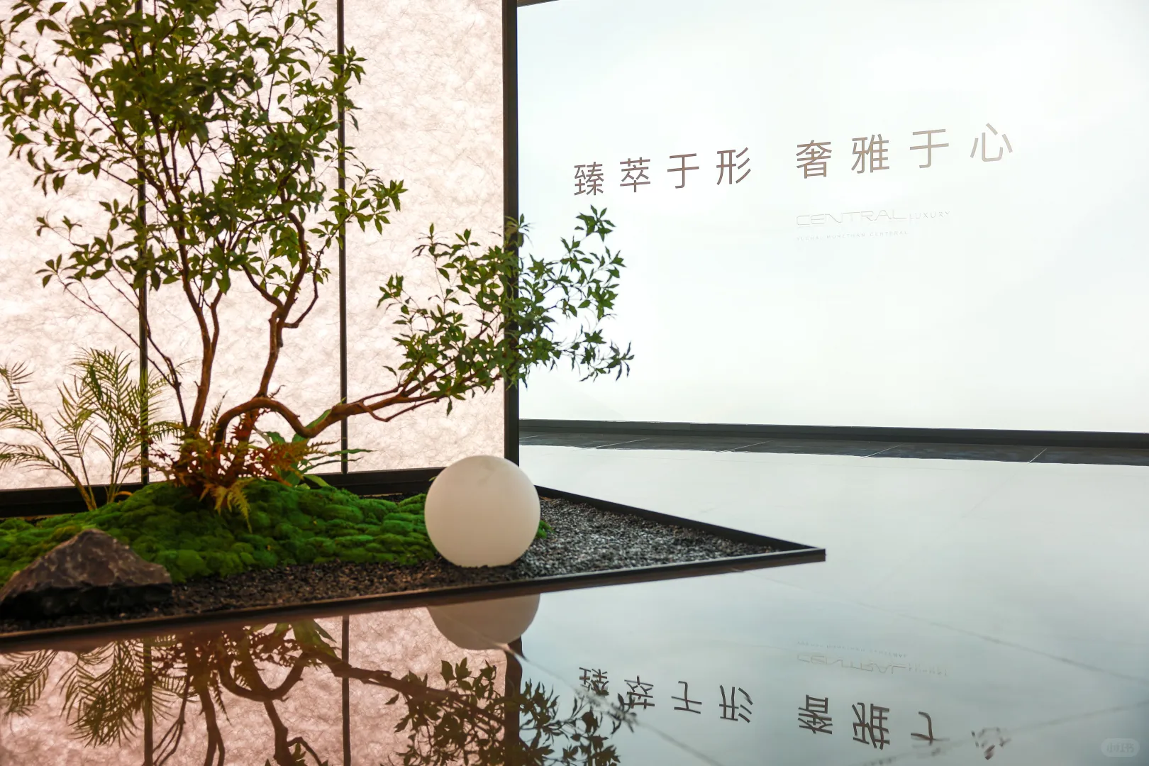南山看房日记！1000万预算到底买哪里更解优