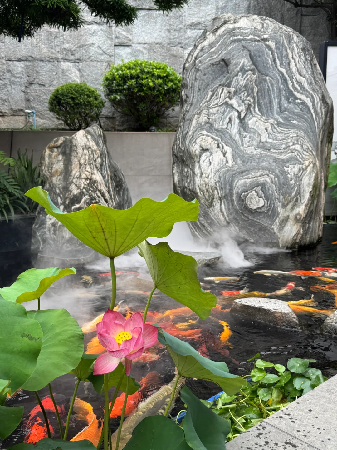 没到过我家负一楼的 确实都说一楼好看