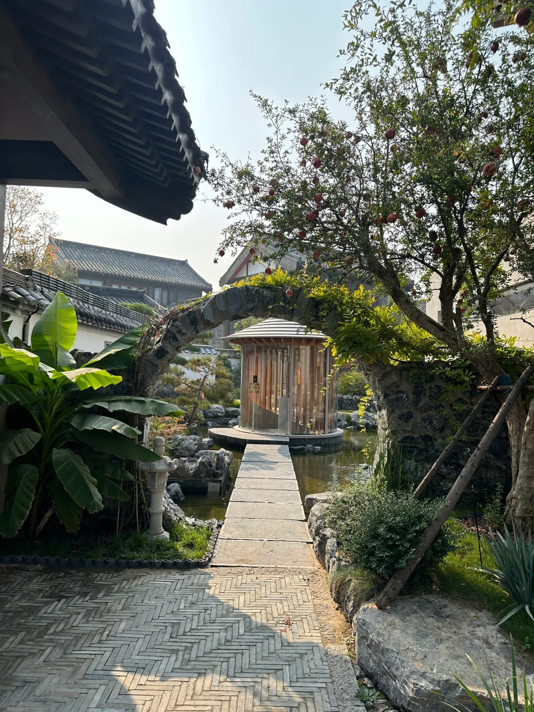 邻居竟然说，这个小县城配不上我家的审美😂