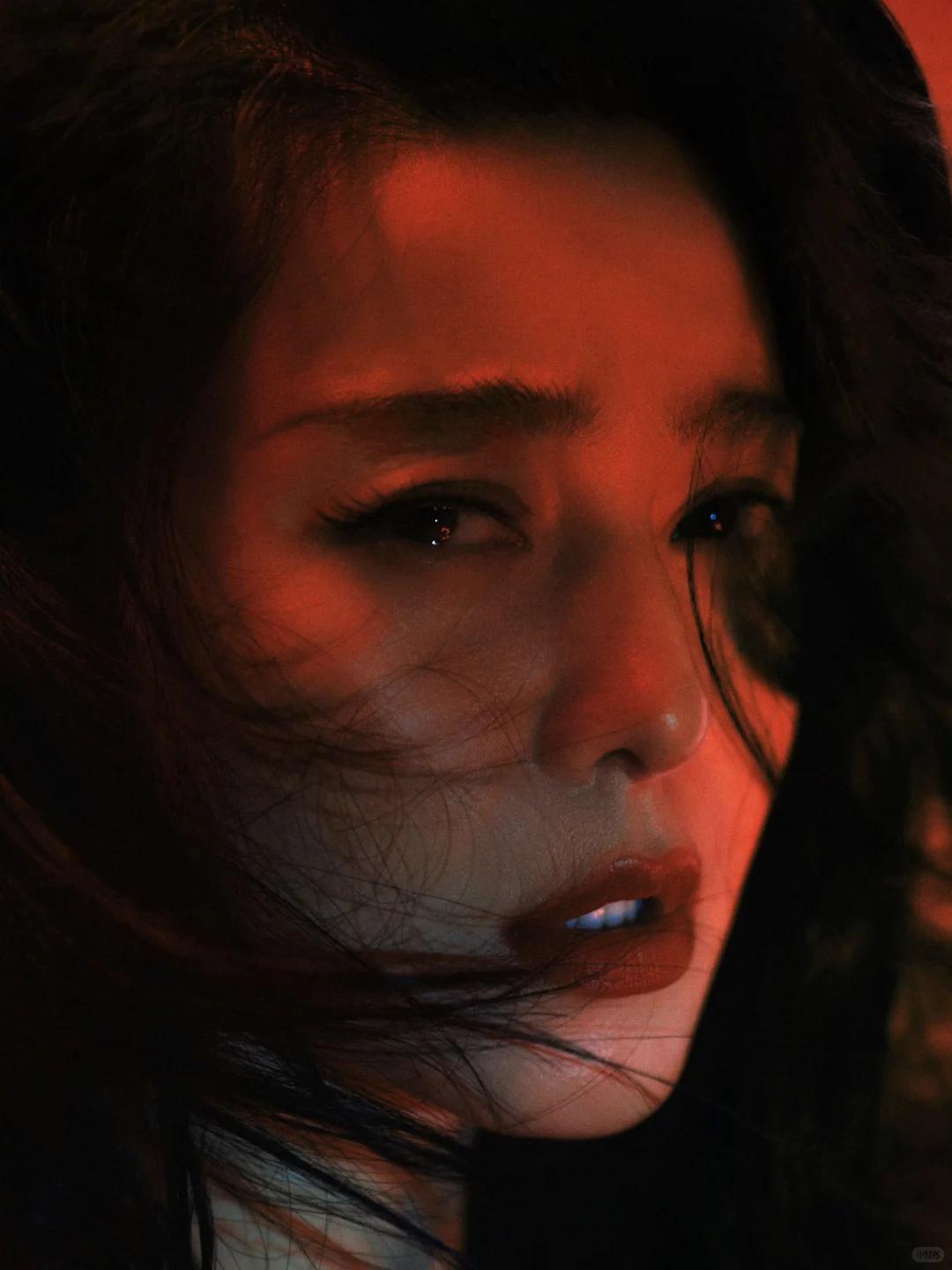 永远会为美人而倾倒
