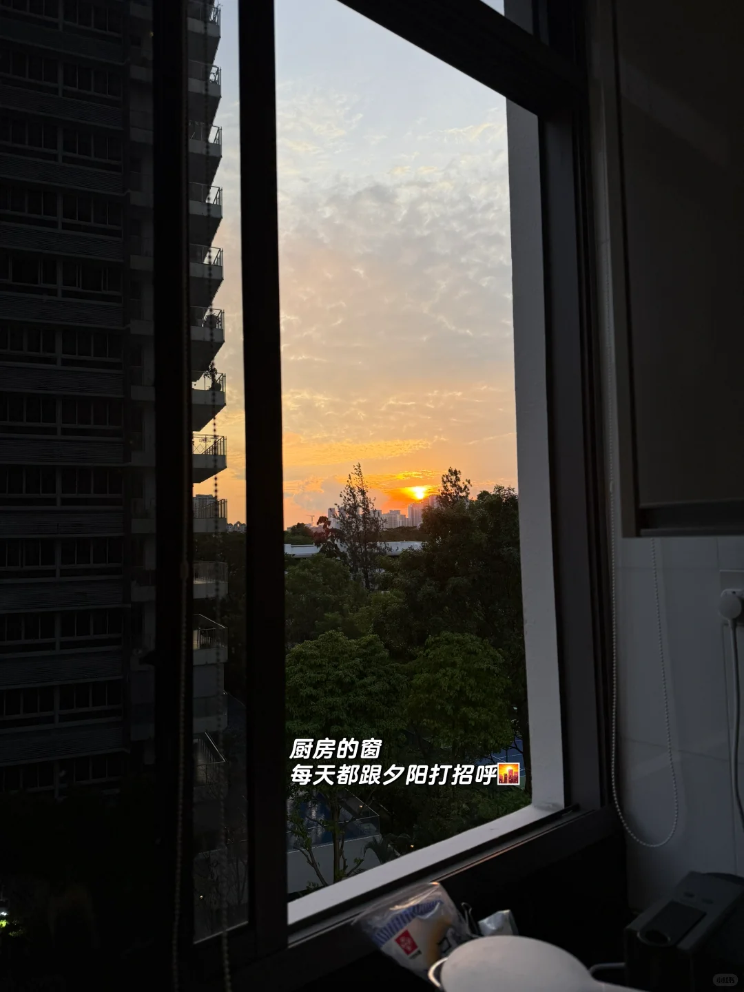南行记 新加坡🇸🇬找房攻略3 尘埃落定