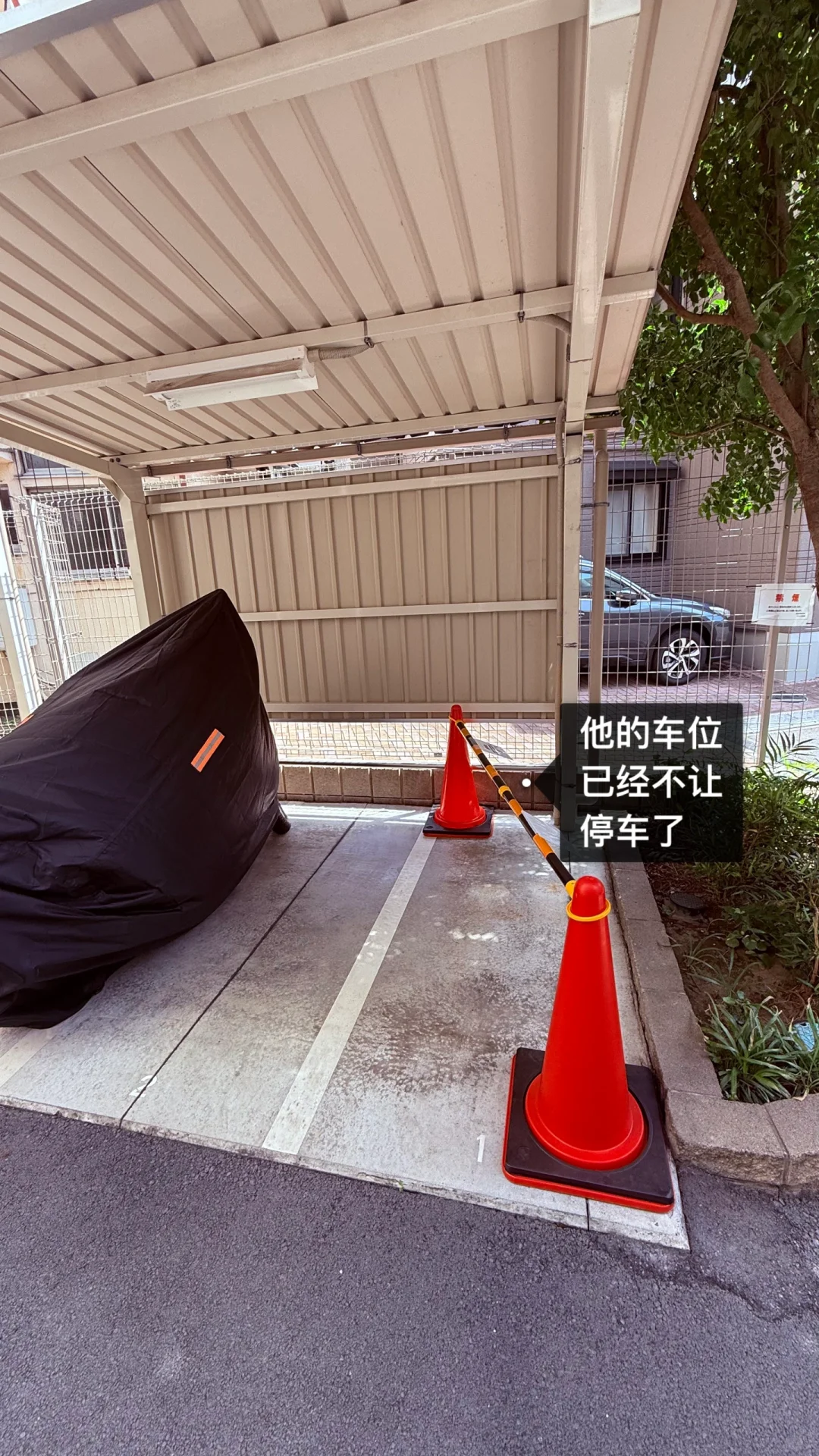 喜迎爽文大结局：恶邻908终于被强制清退