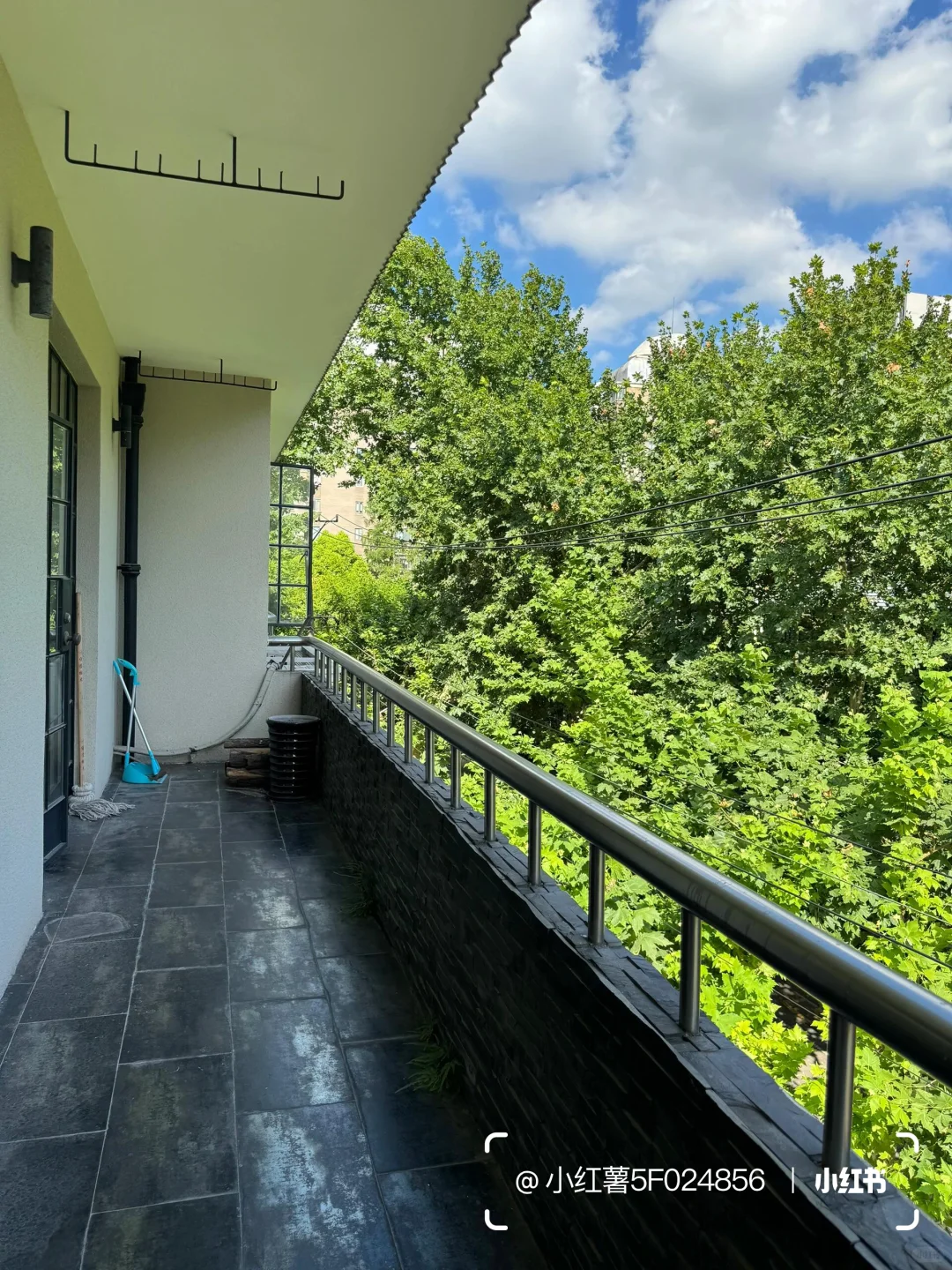 又到了夏天🌿建国西路上的老洋房