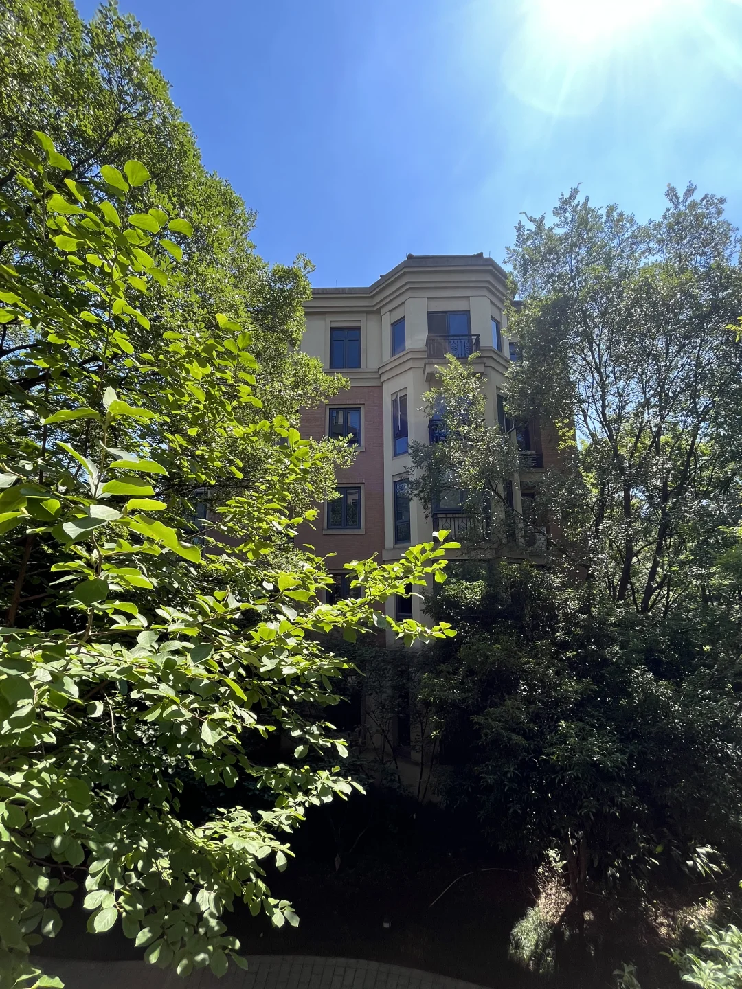 随手拍拍绝美树景洋房景🌲🏠