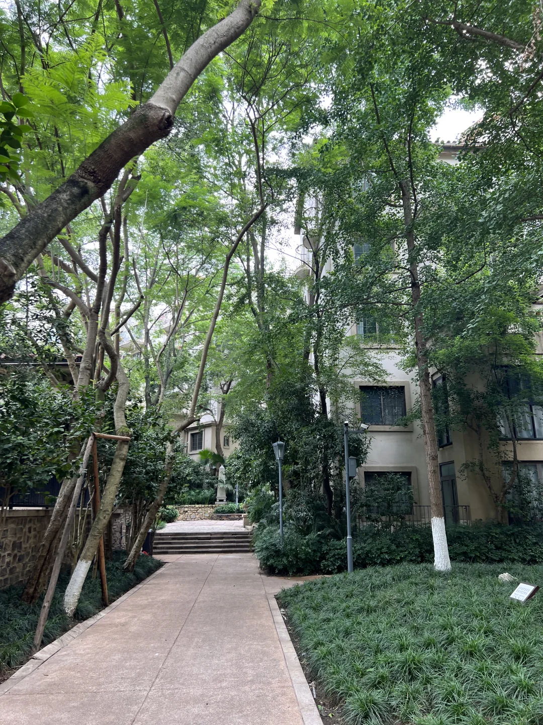 第一次看房就签字的树景房长啥样？