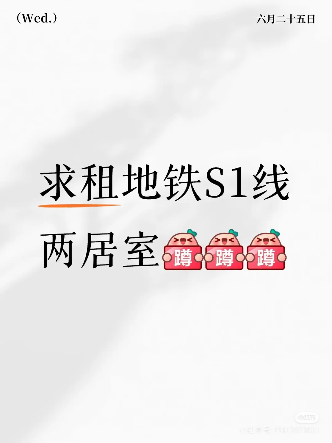 求租地铁S1线两居室