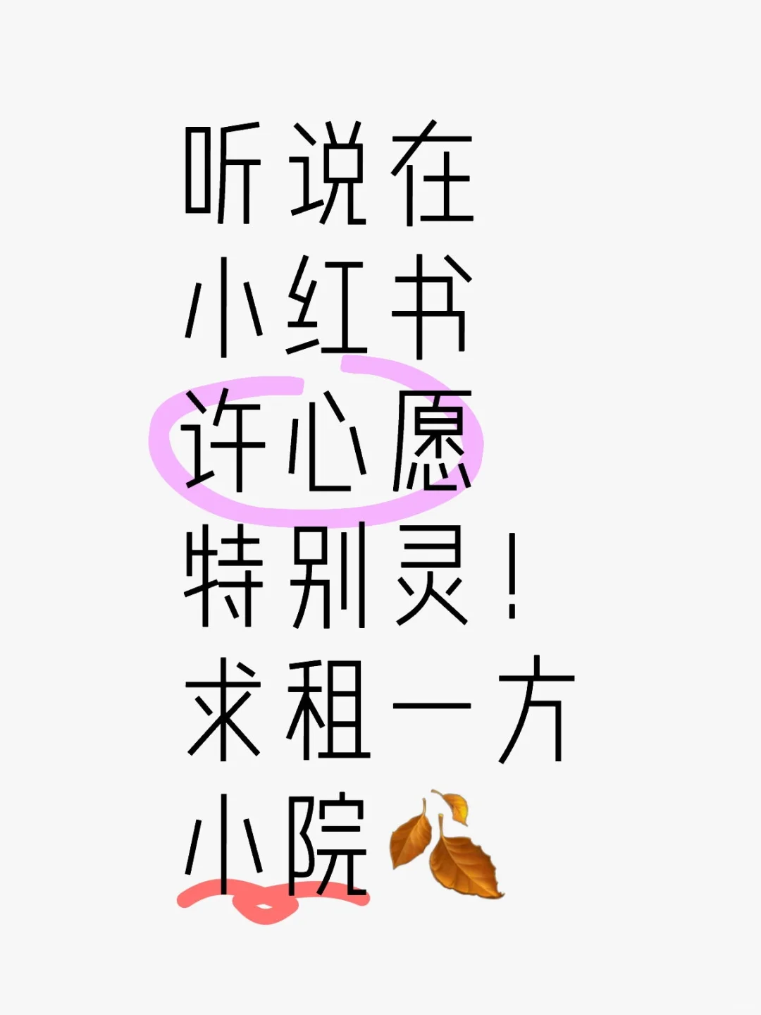 听说在小红书许愿特别灵，求租小院
