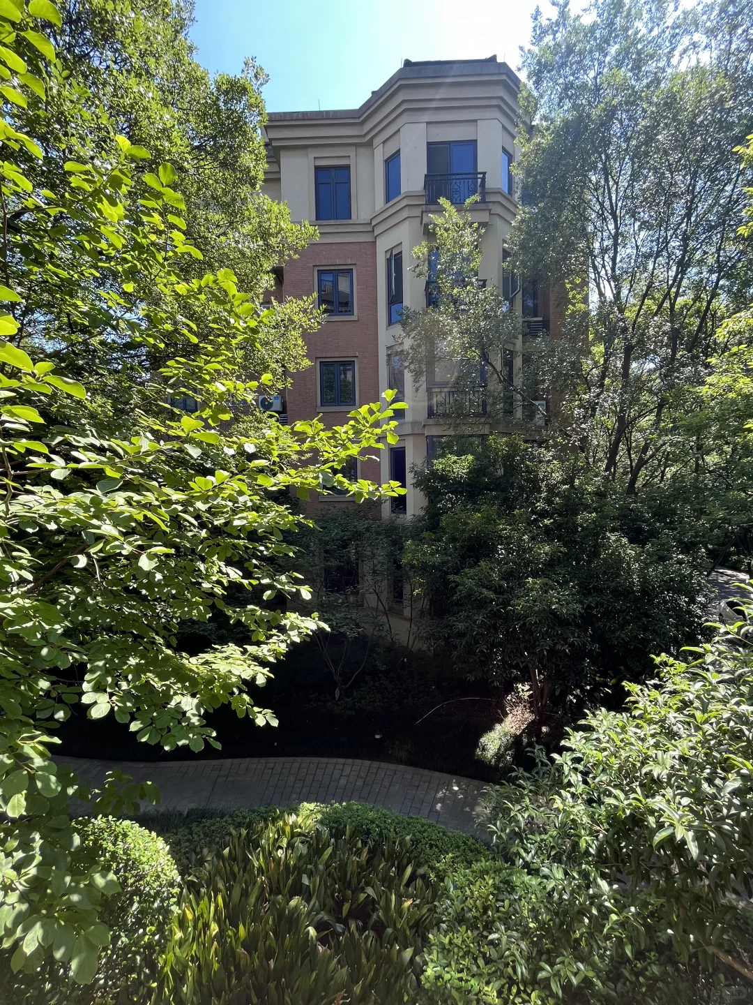 随手拍拍绝美树景洋房景🌲🏠