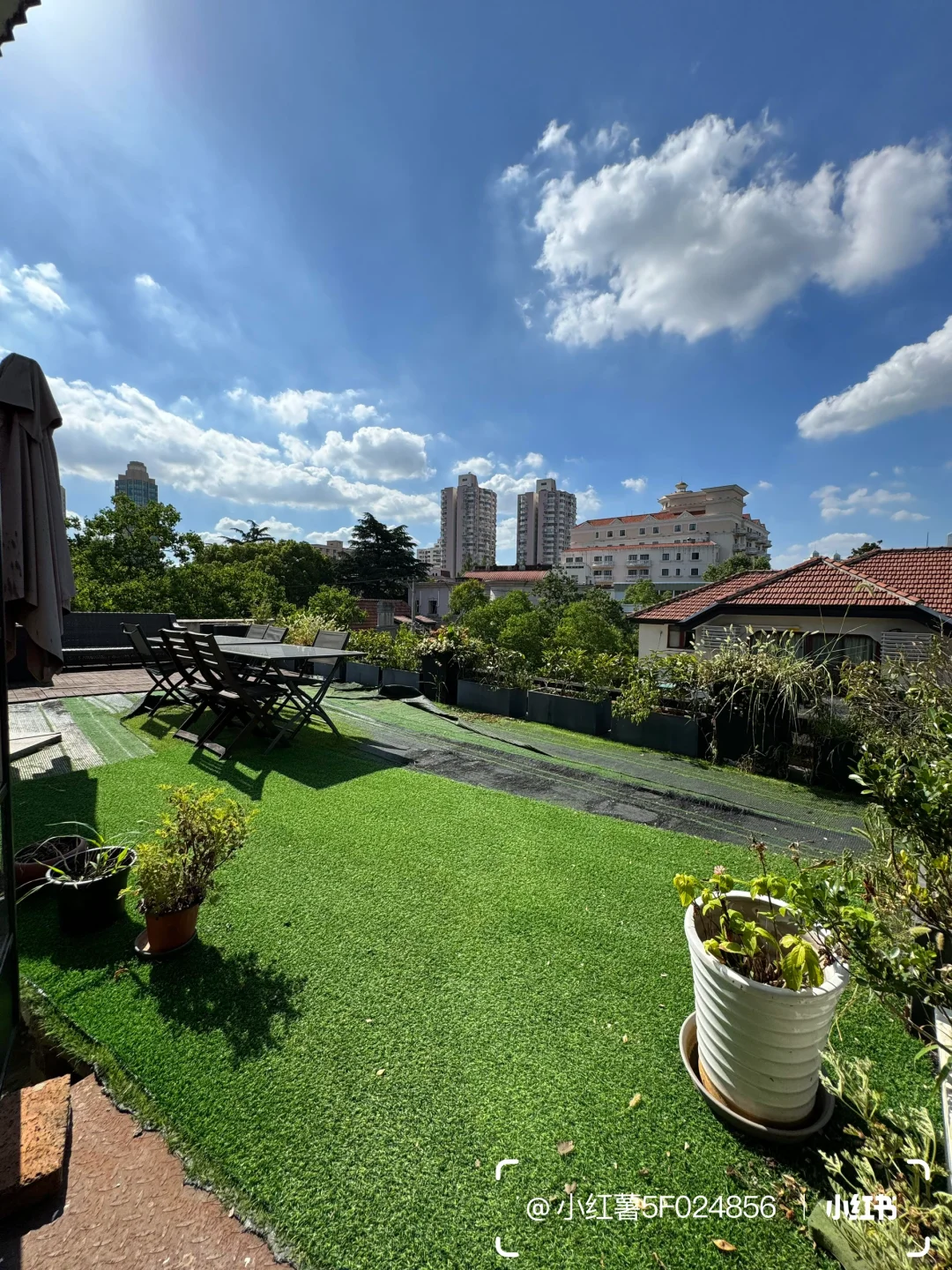 又到了夏天🌿建国西路上的老洋房