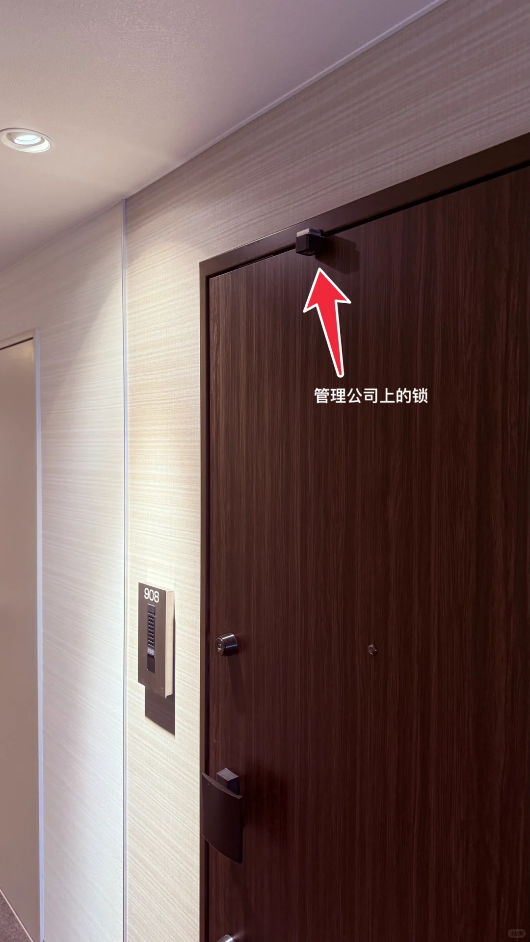 喜迎爽文大结局：恶邻908终于被强制清退