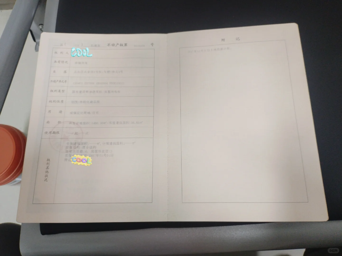非刚需，贷款买了一个老破小