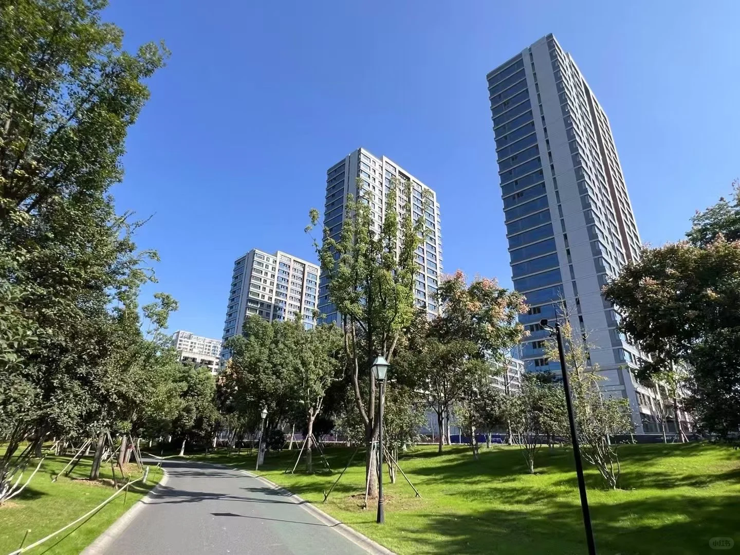 置地中心 公园里的家