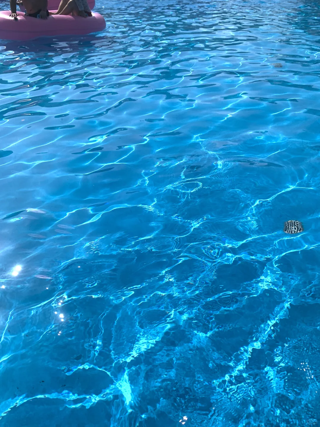 🌊👙