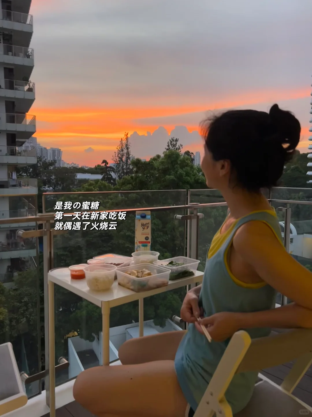 南行记 新加坡🇸🇬找房攻略3 尘埃落定