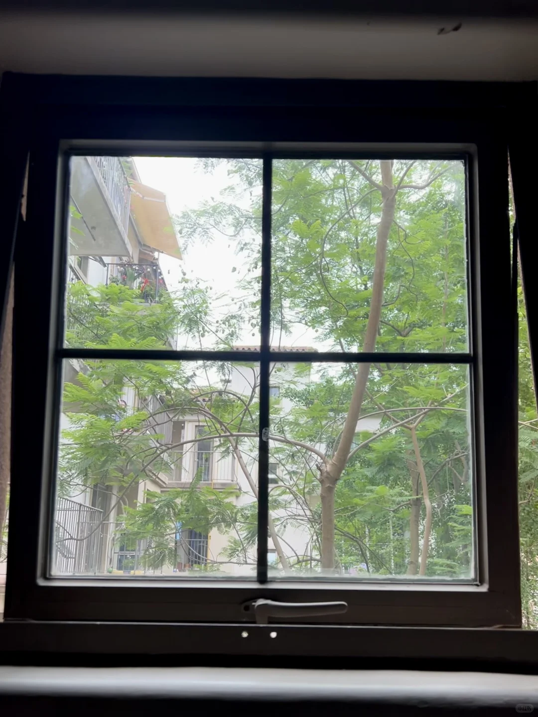 第一次看房就签字的树景房长啥样？