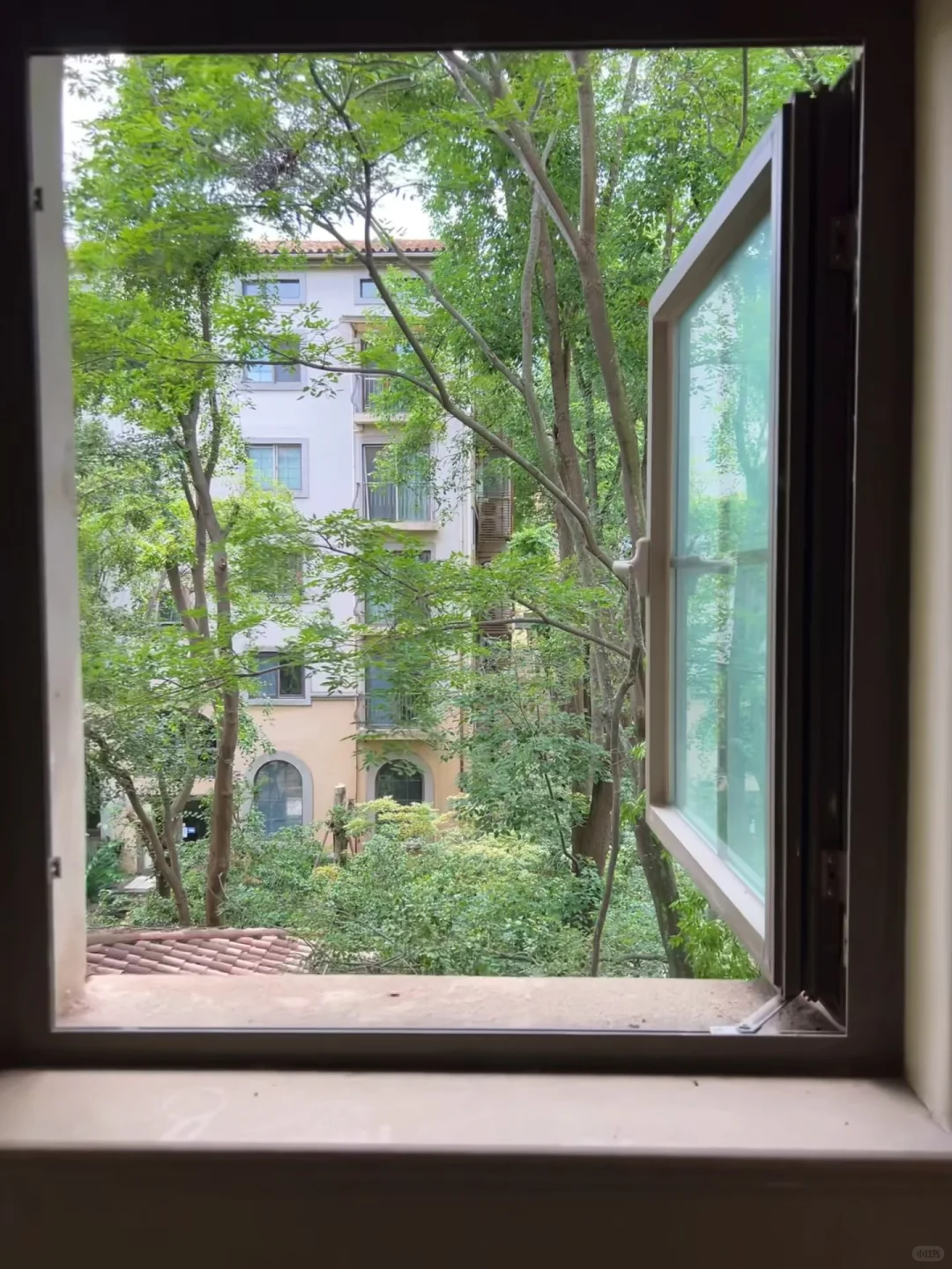 第一次看房就签字的树景房长啥样？