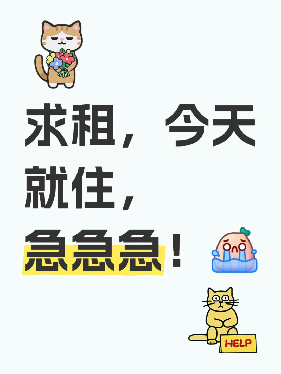 求租，今天就住，急急急