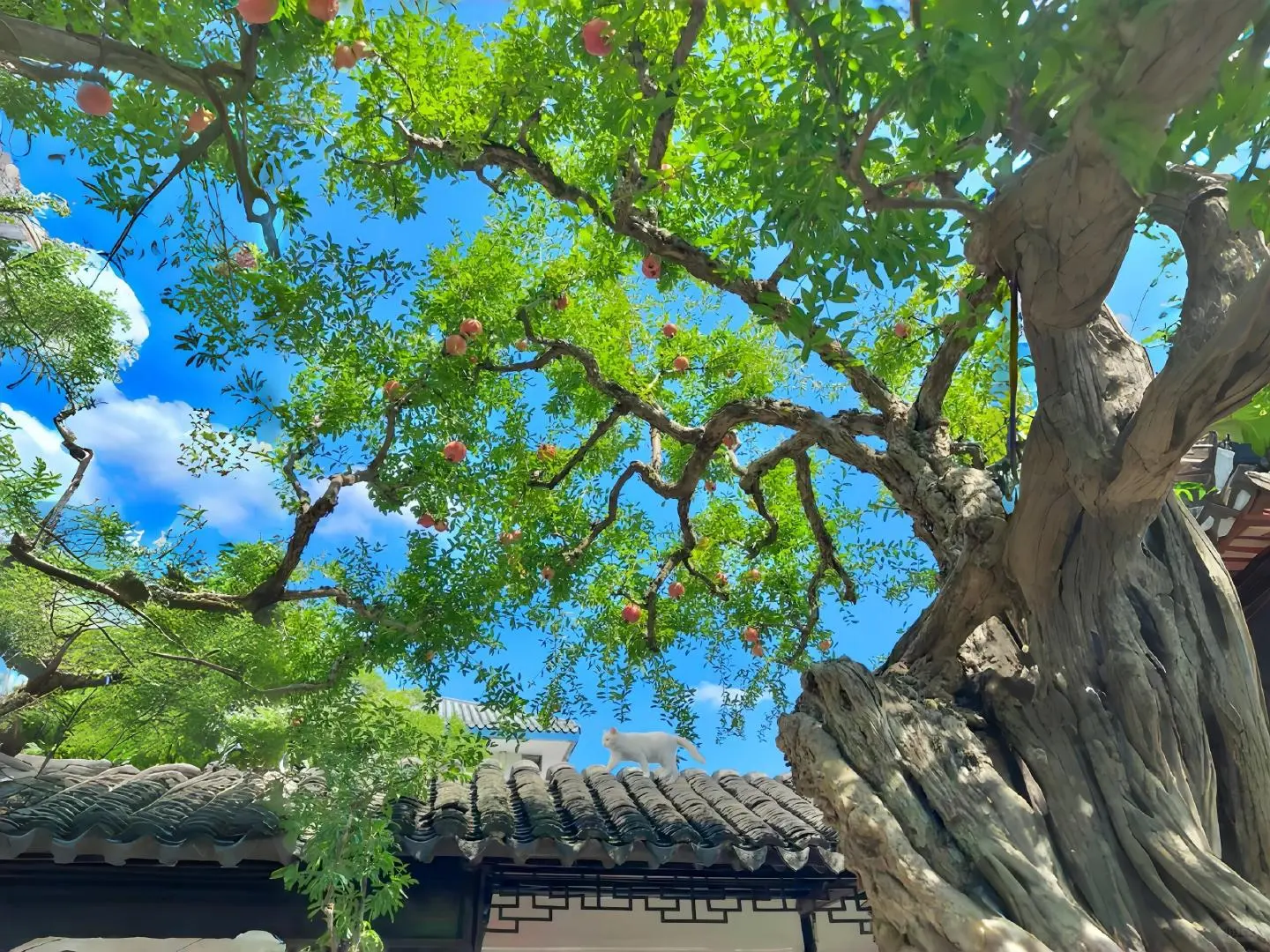 ｜电脑/ipad壁纸｜会让人心情好的壁纸