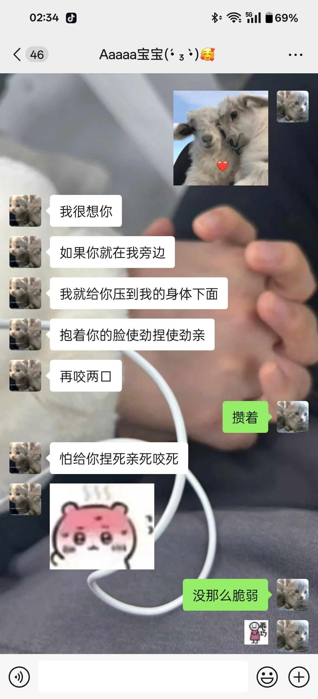 LEI 女生如何快速追到小狗女朋友