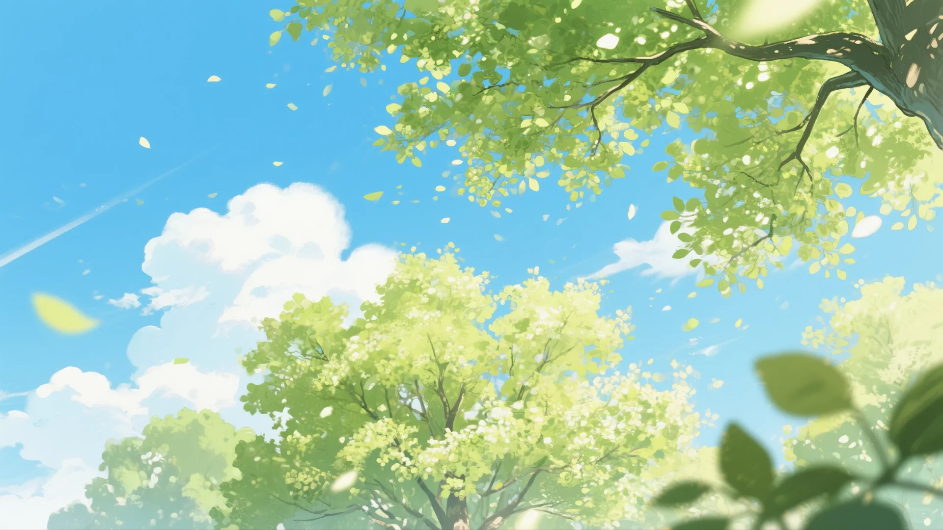 盛夏