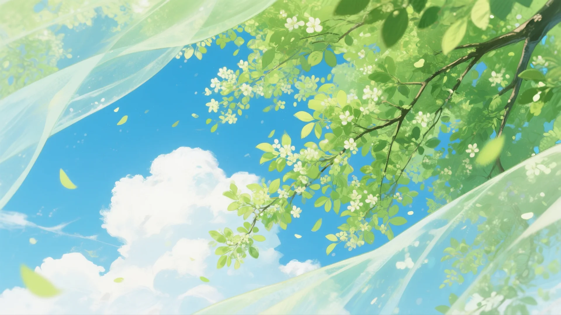 盛夏