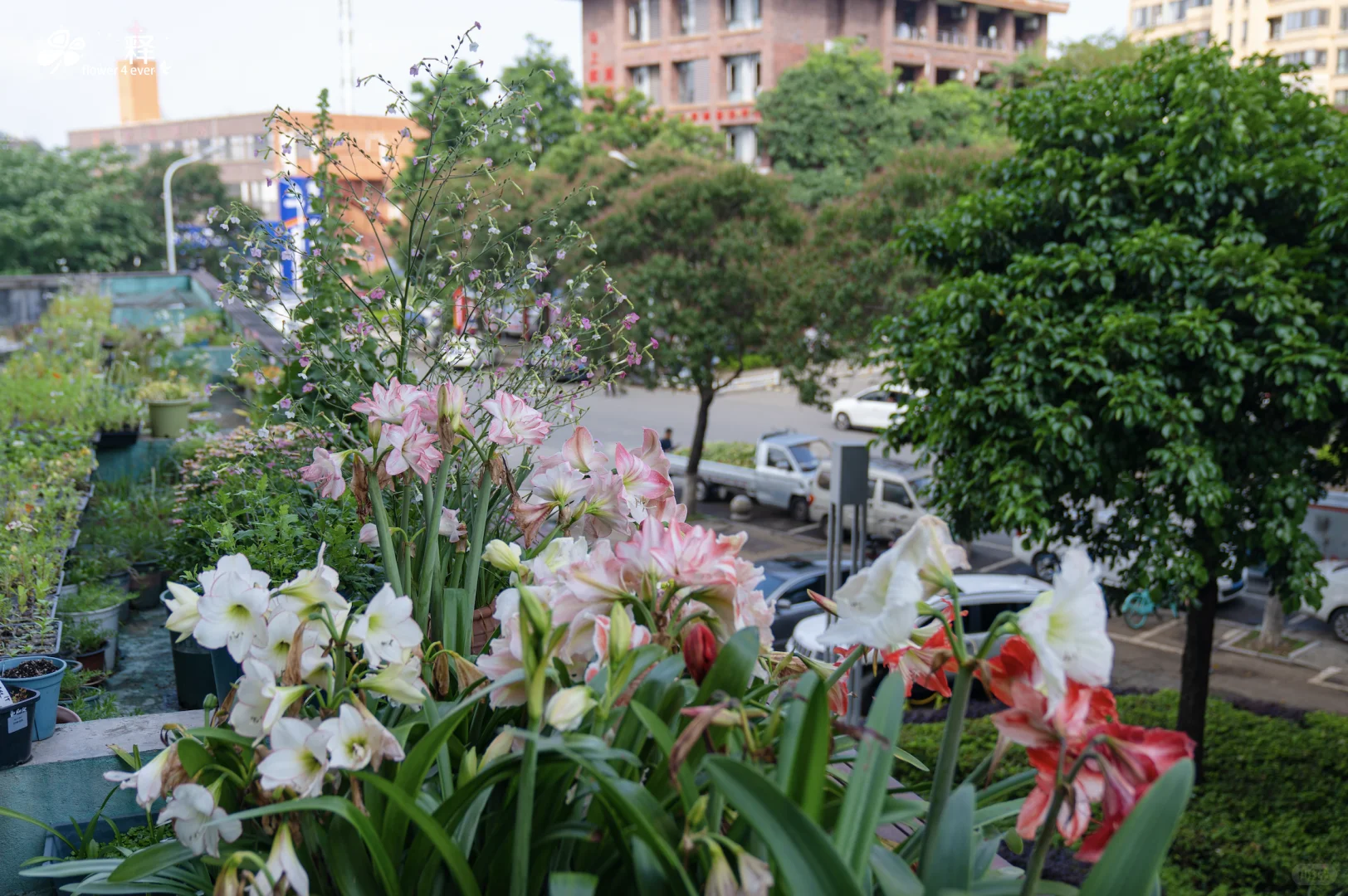 福建版的鹤岗真的来了