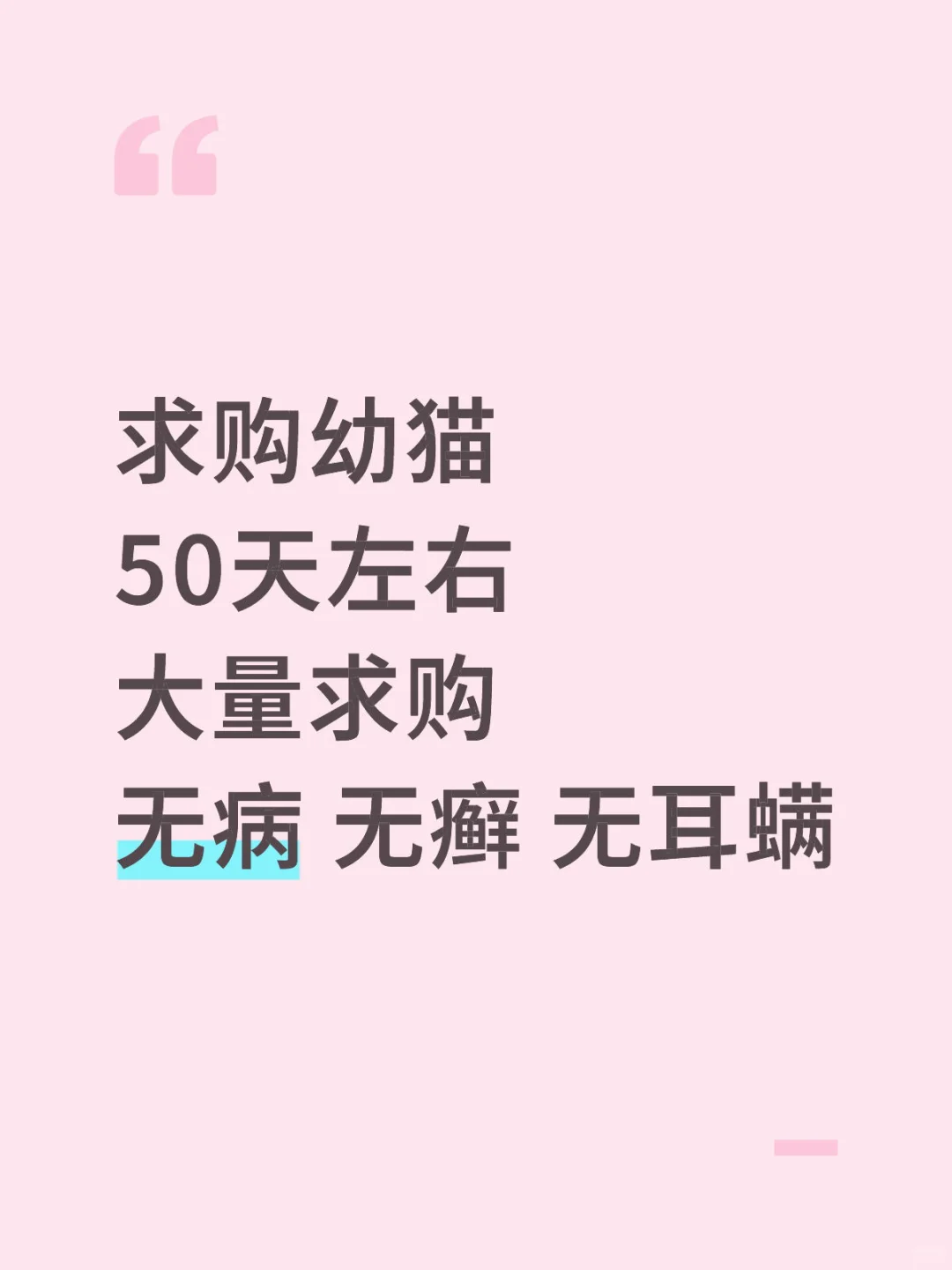 求购小猫