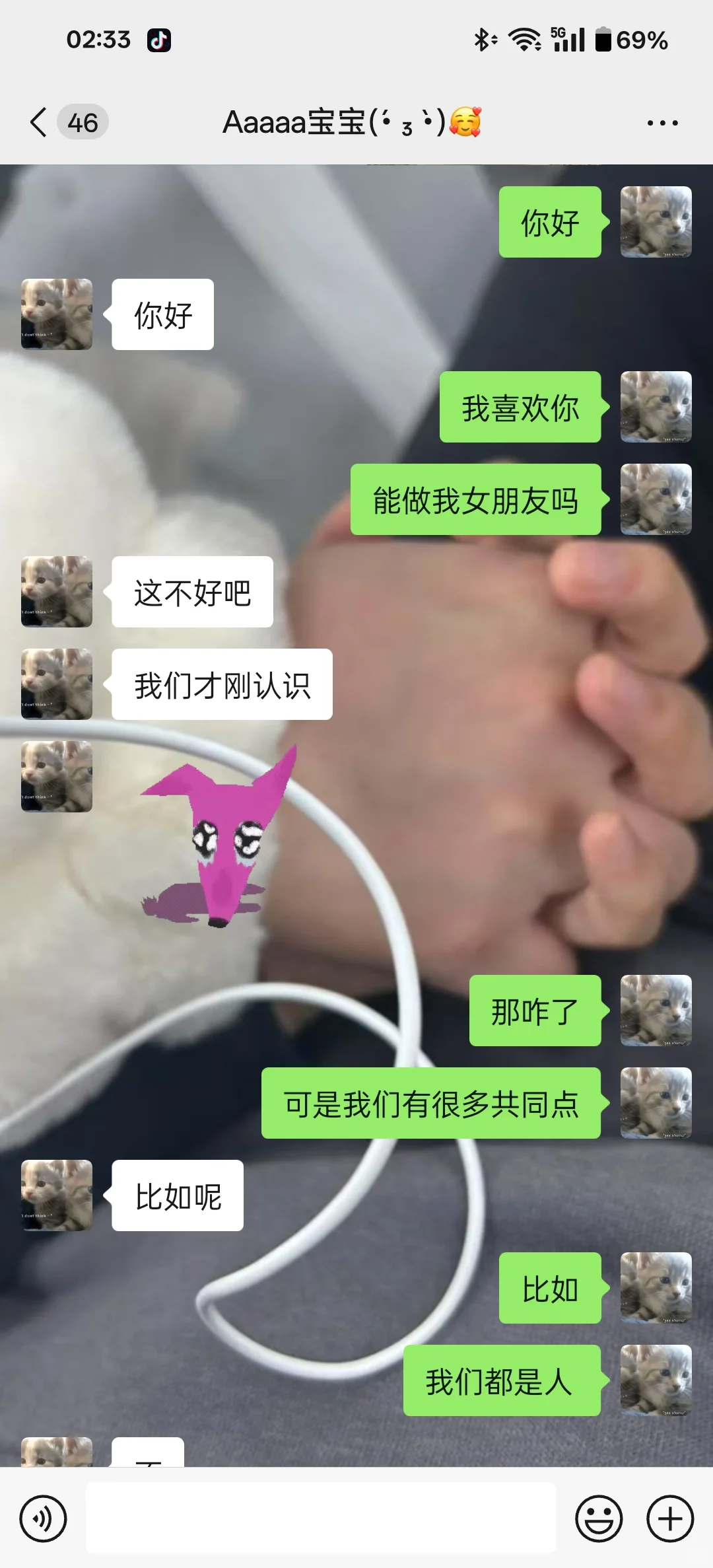 LEI 女生如何快速追到小狗女朋友