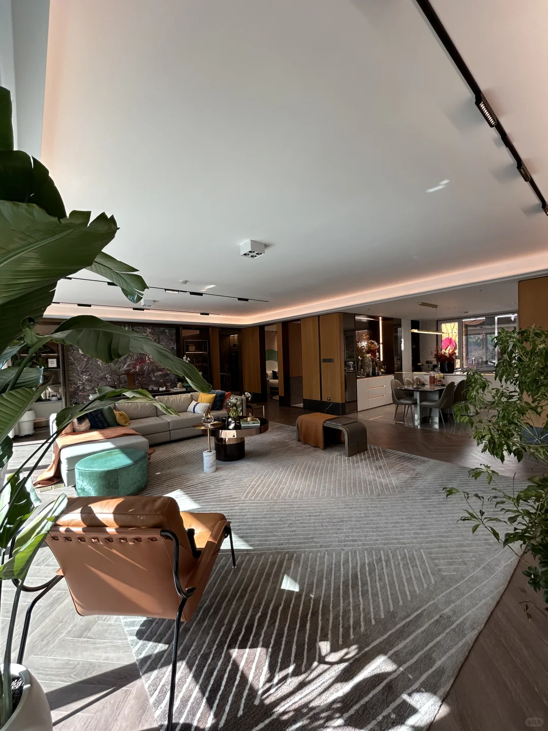 拿下✨135w 青岛近市北洋房🏡