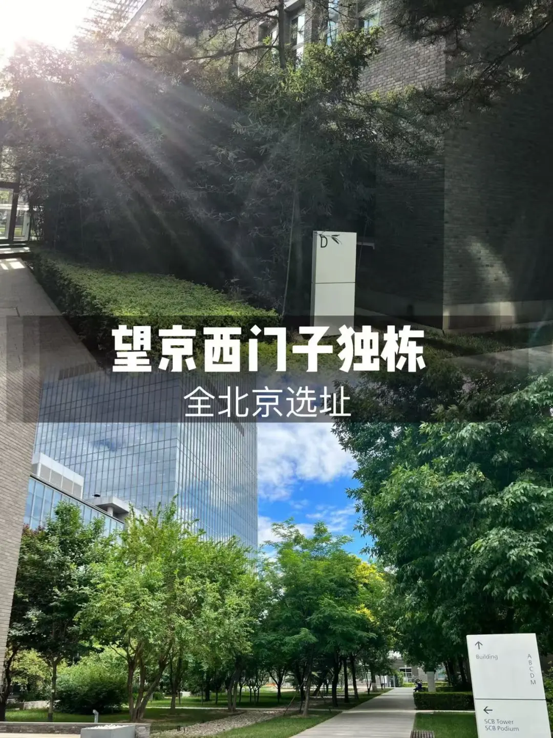 朝阳区望京 特价写字楼
