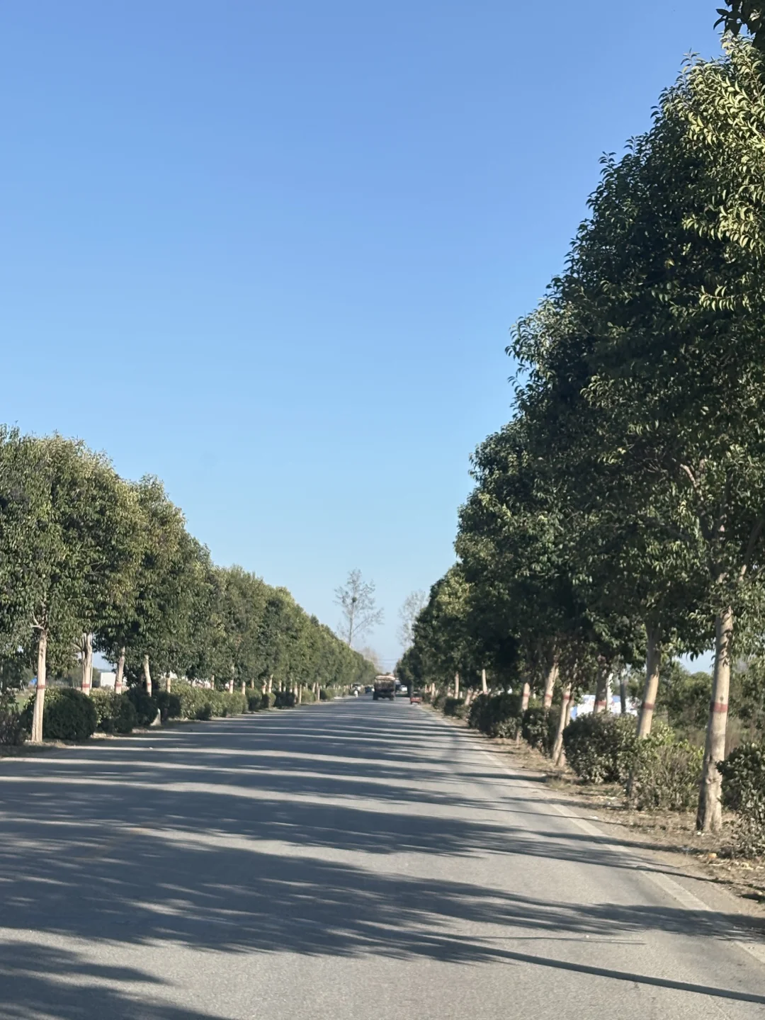 你是自由的，怎么会一直被困在写字楼、工厂