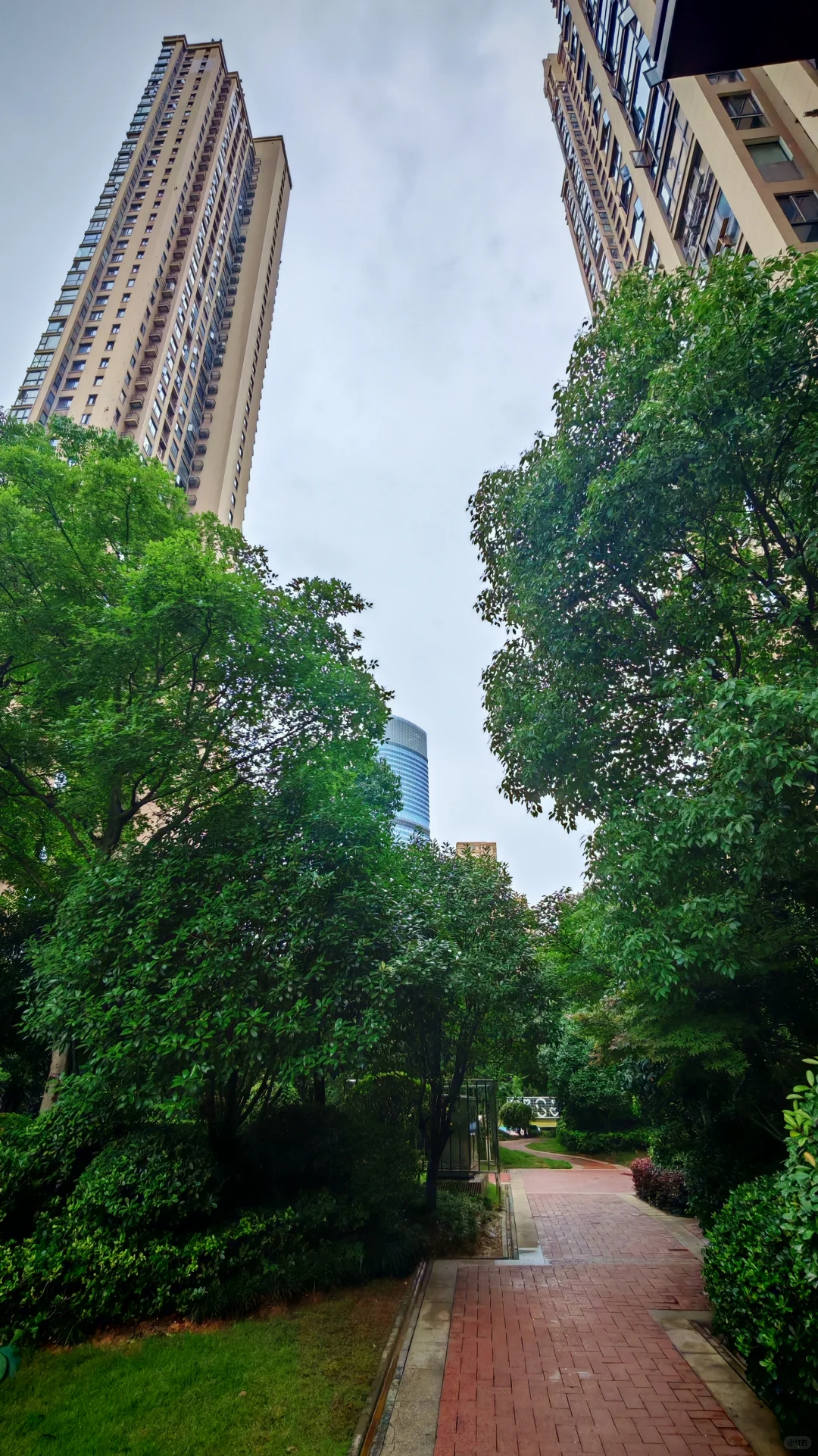 【金融中心的江景房】