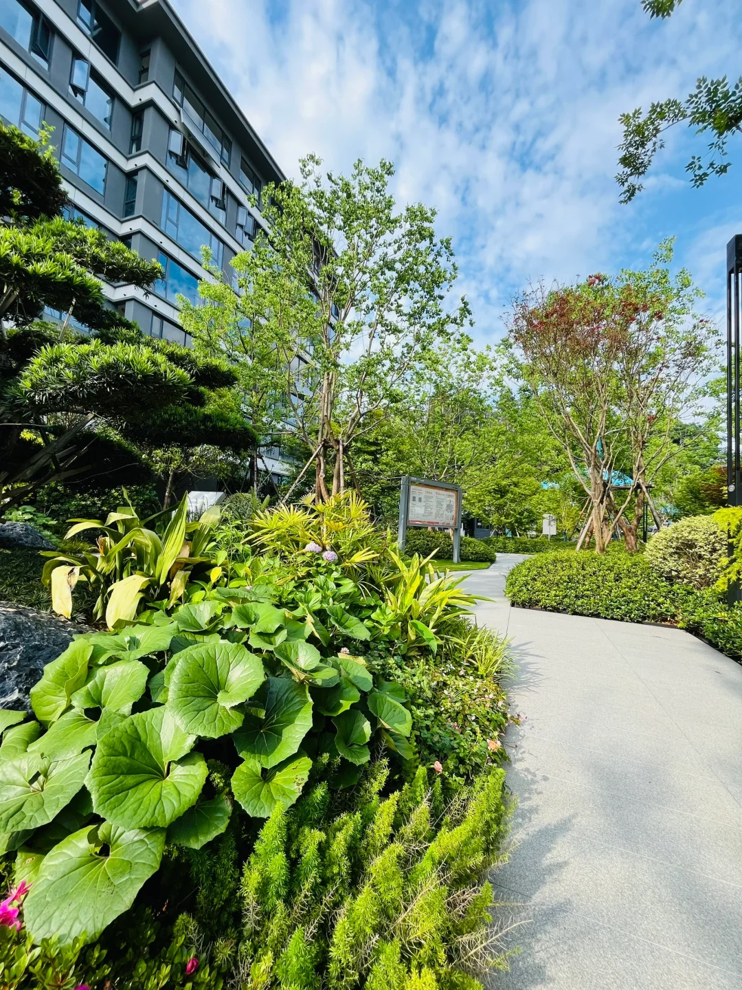河西这个山景洋房,去年1.3 没买,今年省 50w