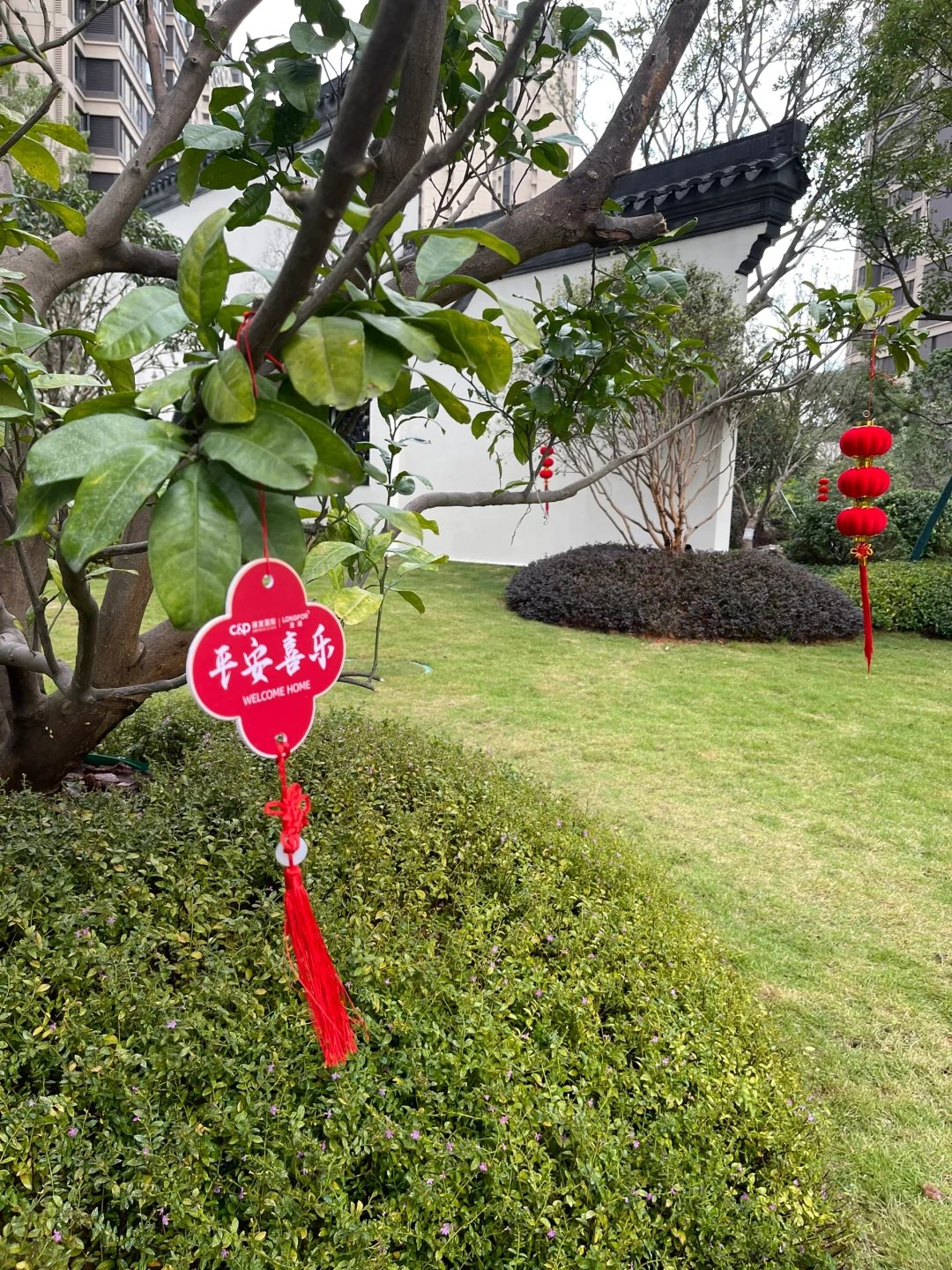 喜提暖居🏠交房大吉🍊