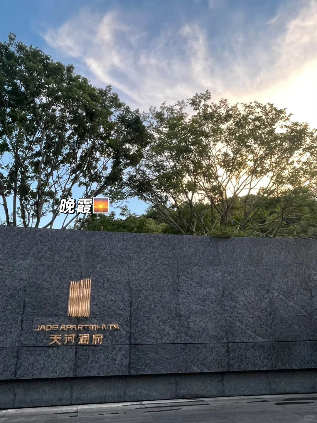Plog｜00后勇闯房地产做运营的一天！