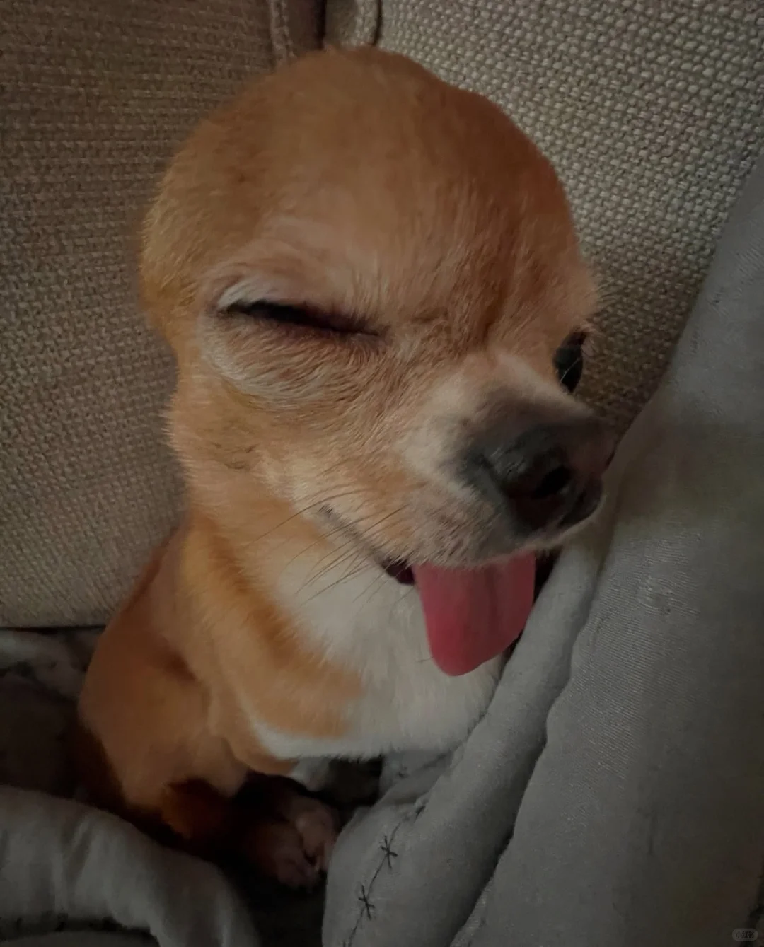 媚眼