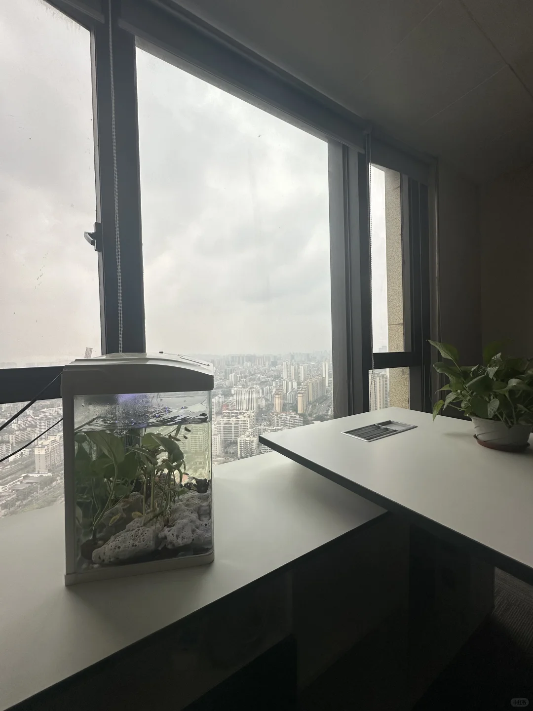 办公室 高端简约风 老板理想办公空间