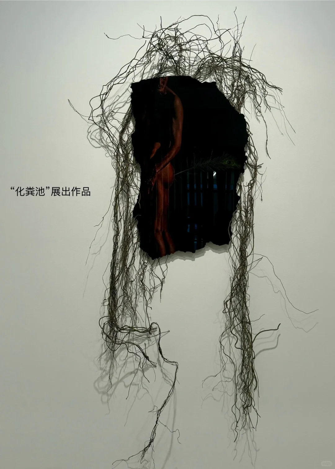 曹雨与“化粪池”
