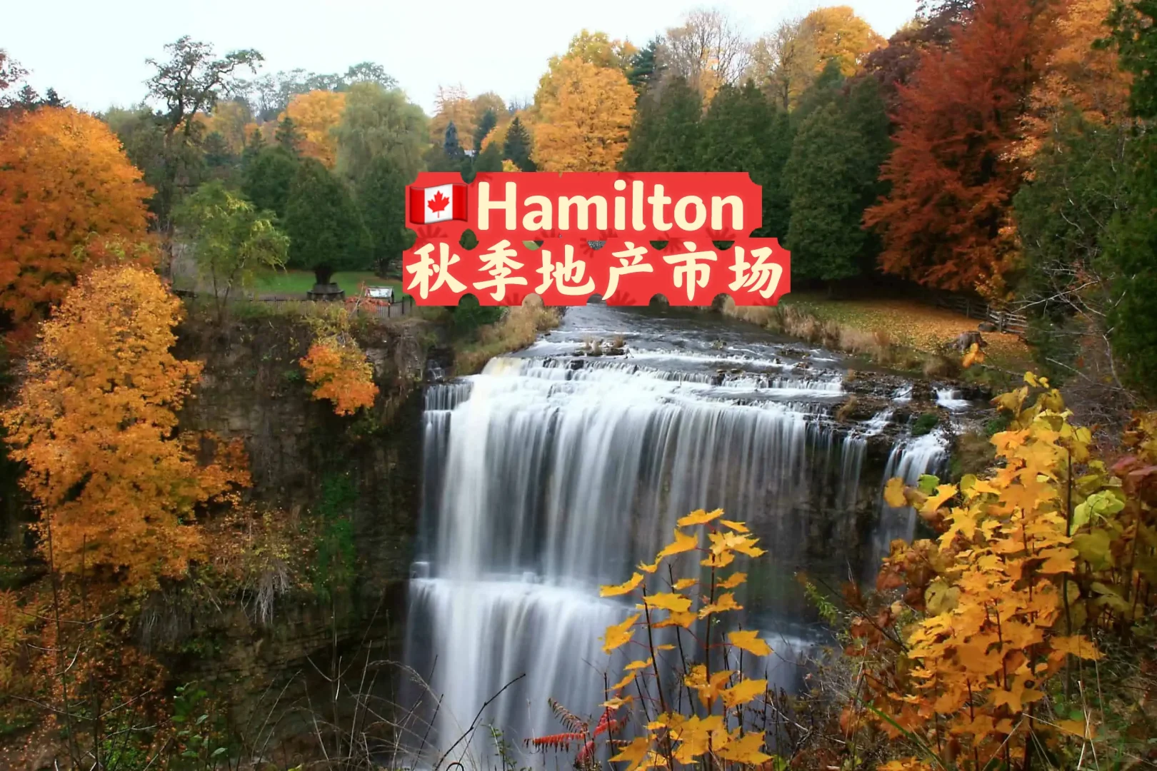 🇨🇦Hamilton九月的房产🏡市场变化