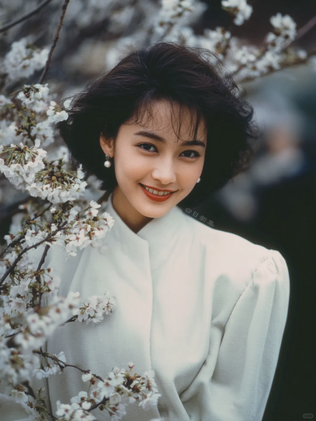 昭和美人图鉴
