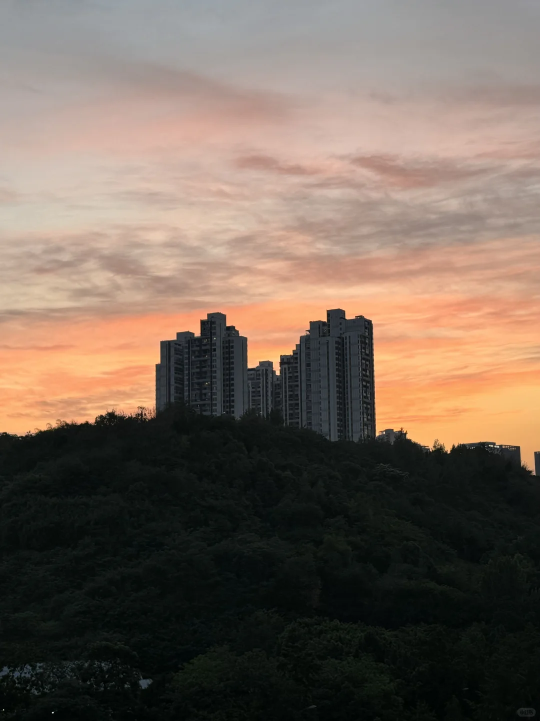 合租室友，仅限女生。