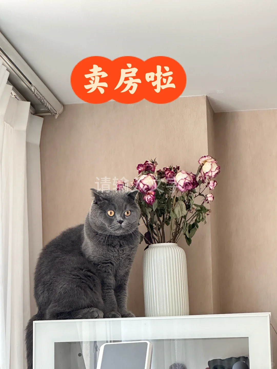 呼和浩特市好房出售！！！