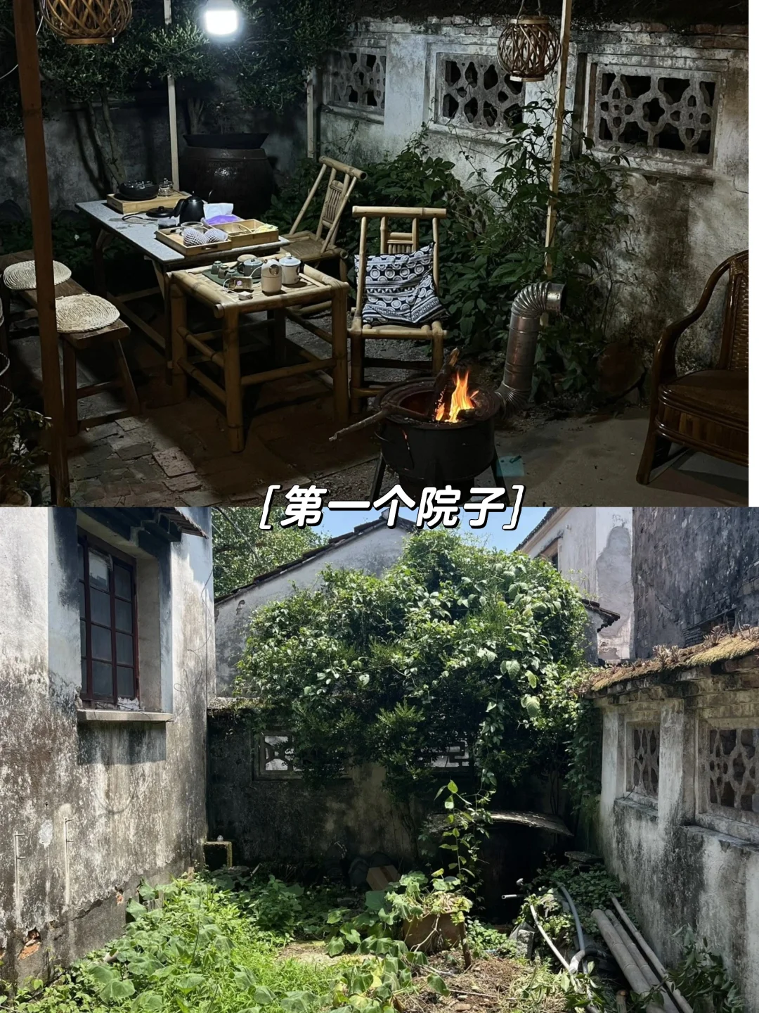 乡下生活｜月租2000，被枇杷树包围的院子日常